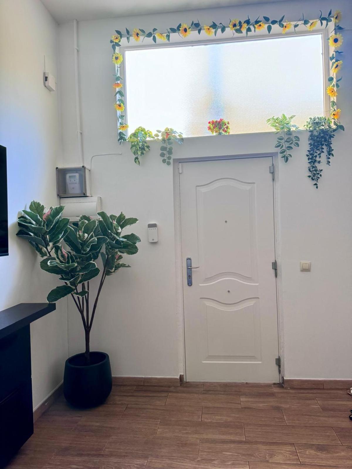 Pamis Apartament Sants, Barcellona Esterno foto